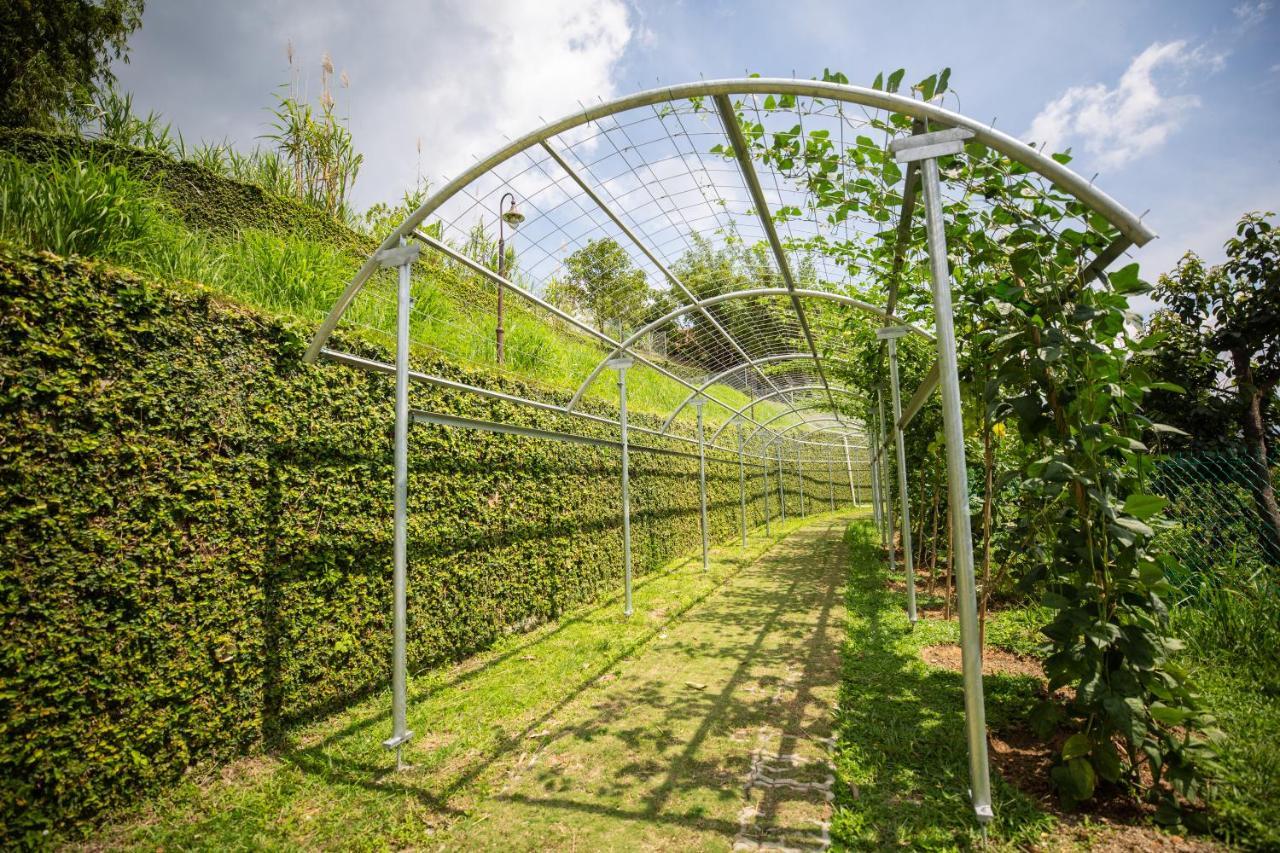 Red House The Garden Stay In Bukit Tinggi By Play بينتونغ المظهر الخارجي الصورة